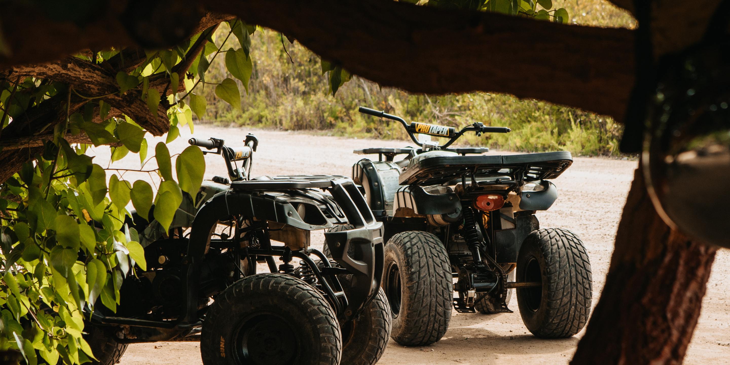 Tours & Adventures